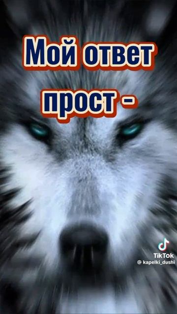 2026-05-25 смотреть онлайн