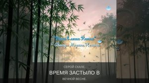 «Весна в лесах Китая»☀️