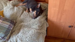 После дождика хорошо бы прополоть. Полка для обуви. Шкаф. И вторая полка