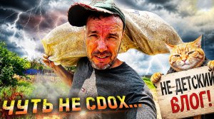 Заправка кондиционера, и уборка территории. Чуть не...