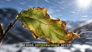 8 вещей, которые нужно сделать в мае — иначе летом будет поздно
