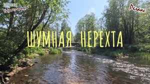 Шумная Нерехта
