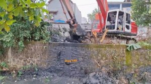 Tanpa Basa Basi Pohon Robohkan Pohon Menggangu - Normalisasi Keruk Kali Abang Tengah