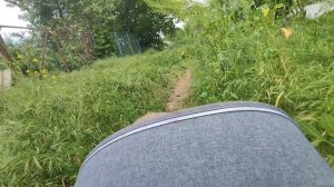 На природе в Динской: наш семейный поход