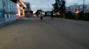 Ночная беготня