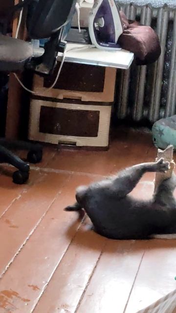 25-05-2026