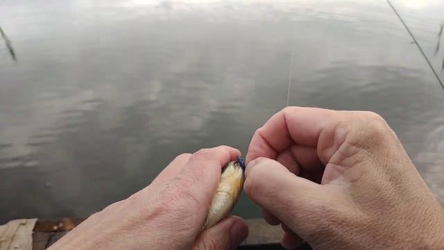 Мормышинг.Весна.Это вам не поплавок.