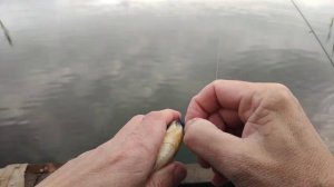 Мормышинг.Весна.Это вам не поплавок.
