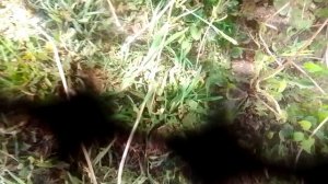 VID_20260525_130402.mp4