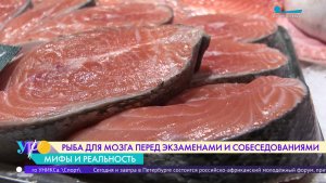 Рыба для мозга перед экзаменами и собеседованием: мифы и правда
