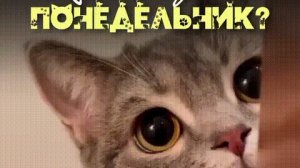 С добрым утром, понедельник! Шикарная музыкальная открытка.
