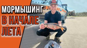 Мормышинг в начале лета.