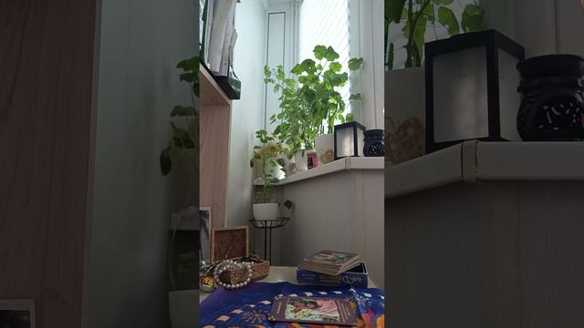 Карта дня смотреть онлайн
