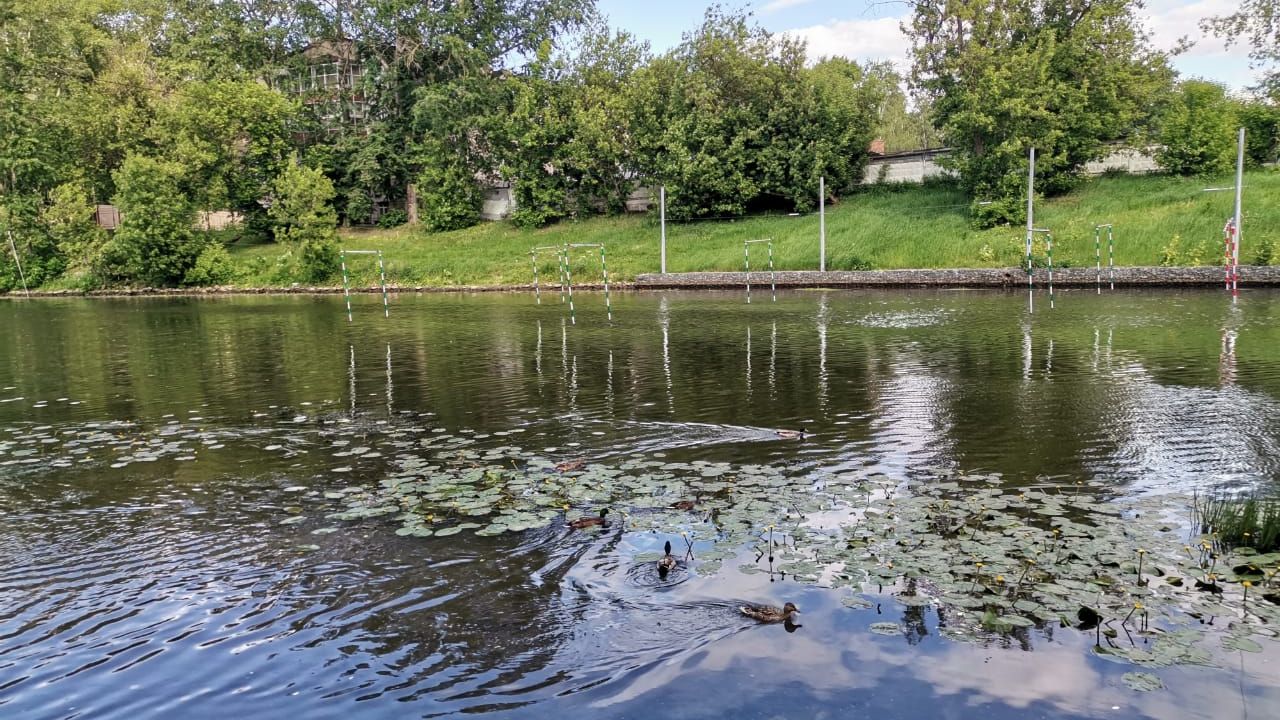Рыбалка