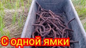 Поиск металла. Небольшой сброс.