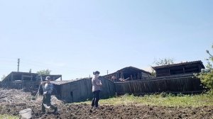 деревенские увлечения/ работаем с Данилом/ все равно трава растет, а так польза будет