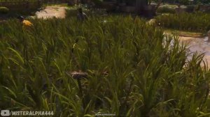 Assassin's Creed: Black Flag Resynced - 6 минут геймплея