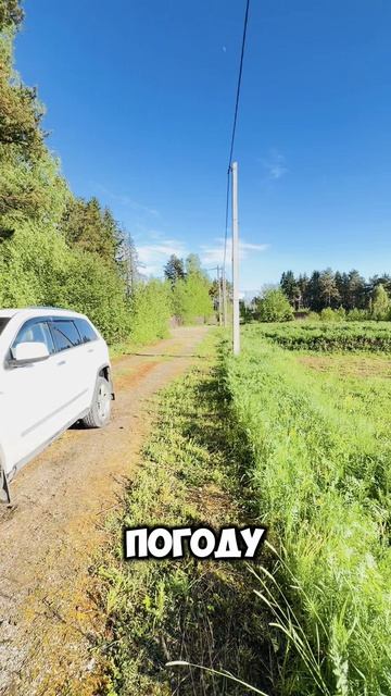 Отрадное смотреть онлайн