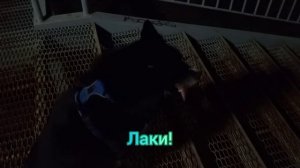 Вид на Енисей
