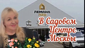 Покупаю цветочную рассаду для балкона в Садовом центре Лемана Про в Москве