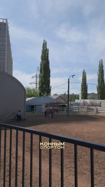 Коней не видели? смотреть онлайн
