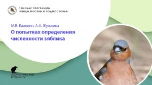 М.В. Калякин, А.А. Жужлина. О попытках определения численности зяблика
