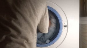 создаю свою стирку с открытой дверью 2 часть