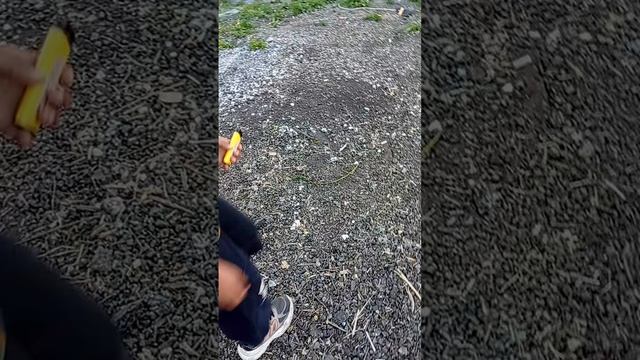 девять ночей в лесу в реальной жизни игра