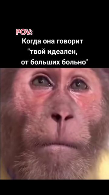 COOLCLIPS_213_подписывайся смотреть онлайн