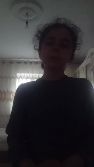 три шпиона