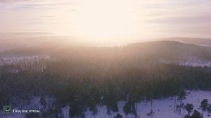 ПРЕМЬЕРА ПЕСНИ «Года, как птицы.»
