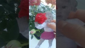 VLOG с реборном Каролиной 👑👑👑