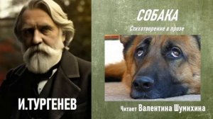 И. Тургенев «Собака». Читает Валентина Шумихина.