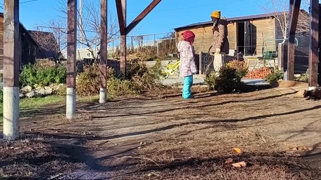 ## Начало декабря: подготовка винограда к зиме 🍇❄️