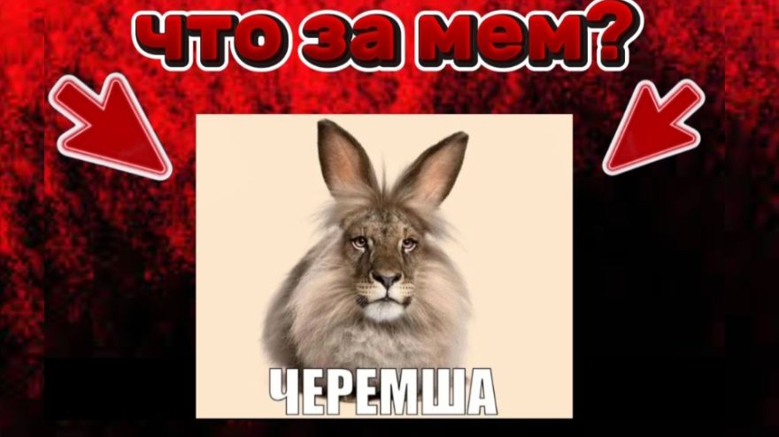 Черемша новый мем🌟 Что за мем??? смотреть онлайн