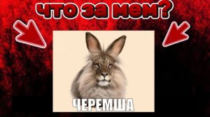 Черемша новый мем🌟 Что за мем???