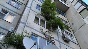 Встретились во дворе 25.05.26.