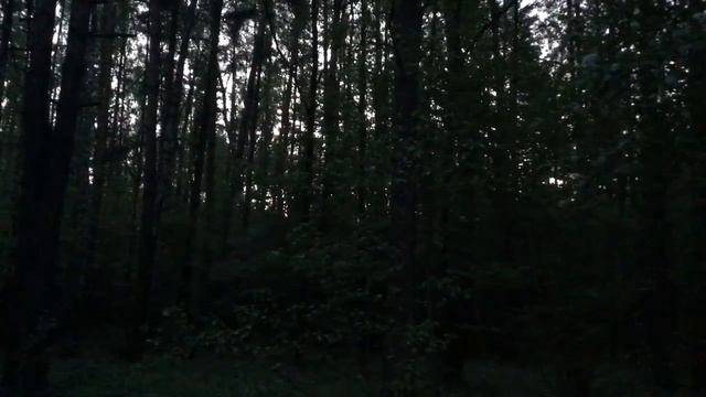 С первыми петухами!