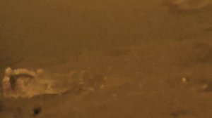 Поклёвка леща под водой