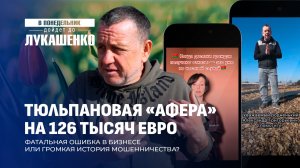 «Бизнес» на тюльпанах: кто обманул белорусов на 126 тысяч евро? В понедельник дойдет до Лукашенко