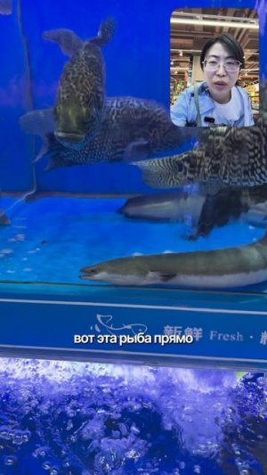 Вы бы рискнули попробовать такое в Китае? 🇨🇳🐢