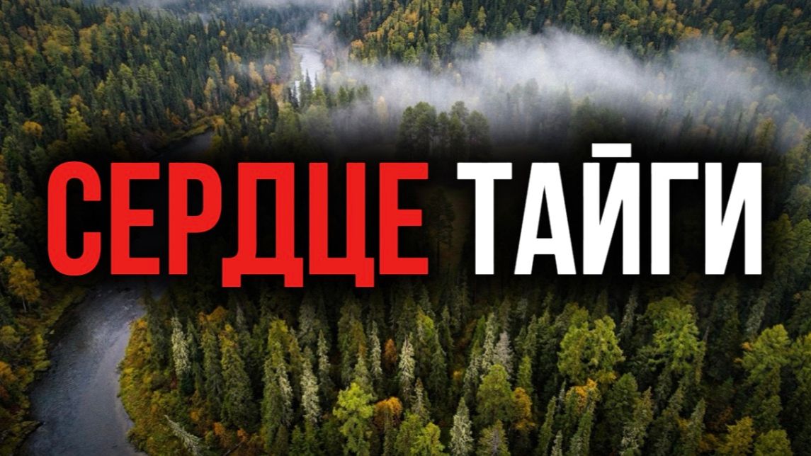 КТО УКРАЛ ЗАПАСЫ ЕГЕРЯ ТАЕЖНЫЕ ИСТОРИИ СЫН ТАЙГИ