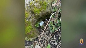 В Рязани полицейские прервали криминальные гастроли кубанской наркосбытчицы со психостимуляторами