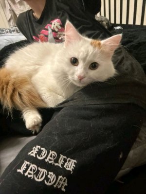 котыыыыыыы 67+67=?