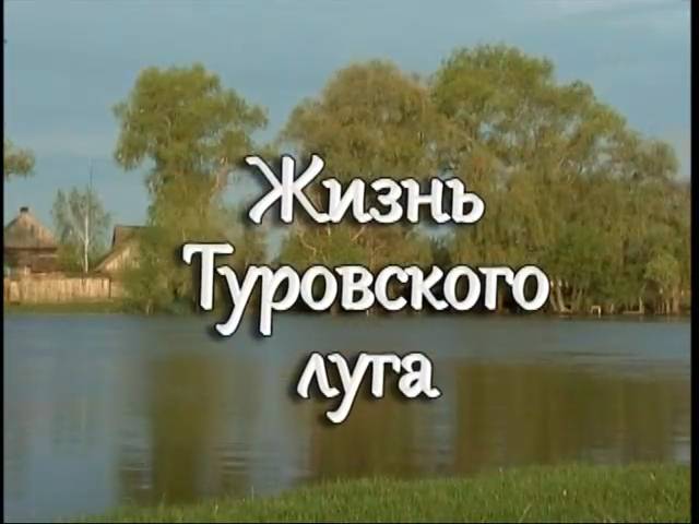 Жизнь туровского луга (2010) смотреть онлайн
