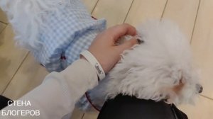 🇨🇳ПУТЕШЕСТВИЕ ЯНЗЦЫ 🇨🇳