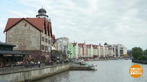 Остров Калининград. Доброе утро. Фрагмент выпуска от 25.05.2026