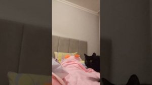 1000001653.mp4