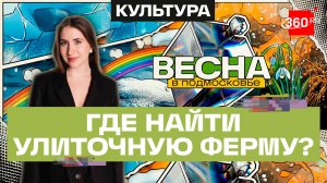 Необычный маршрут по Солнечногорску: улитки, яхты, мотель 18 века и Сенеж. Куда поехать этой весной?