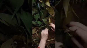 Что думает женщина,  которая плетет сети?
